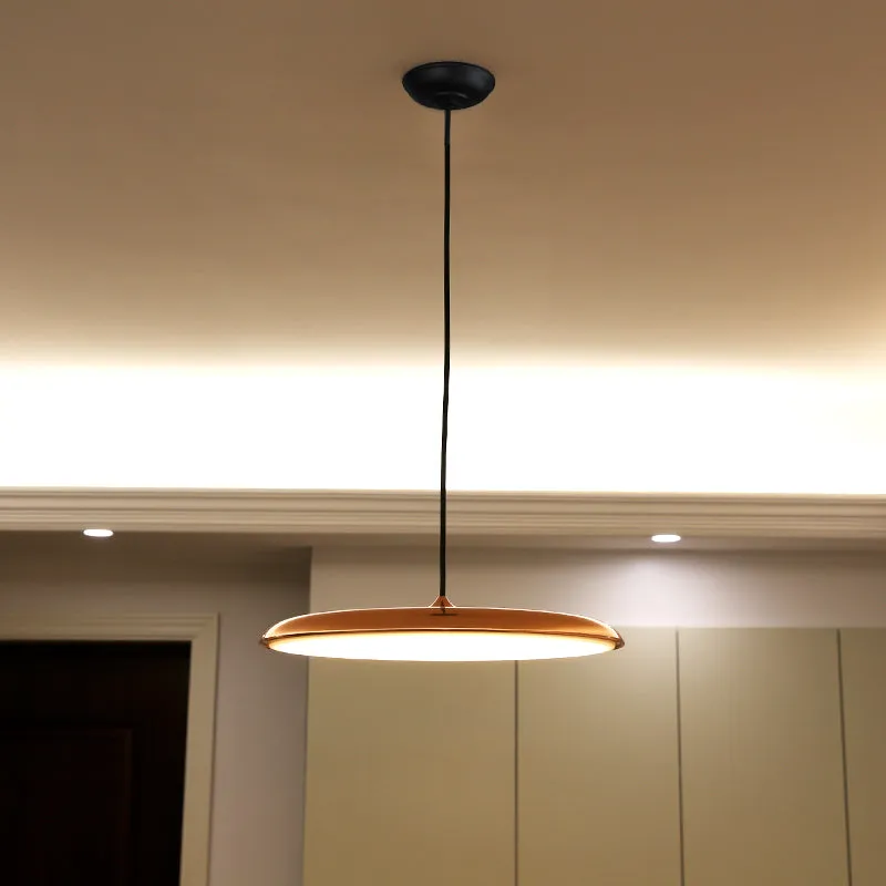 Slimline Modern Ceiling Light